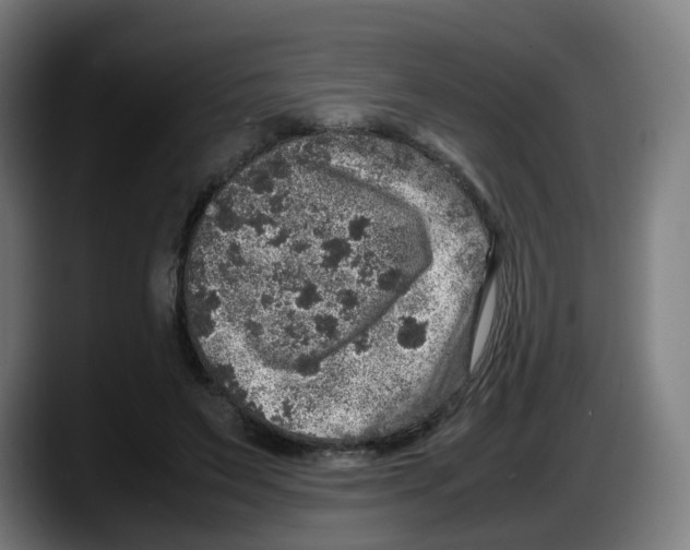 X0000087600495200705251925