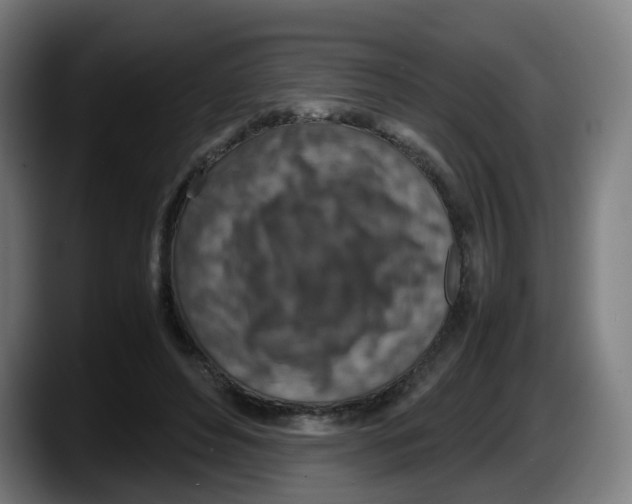 X0000087600496200705251925