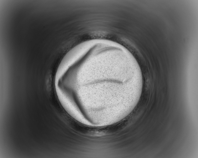 X0000087600498200705251925