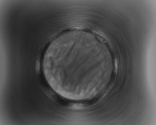 X0000087600500200705251925