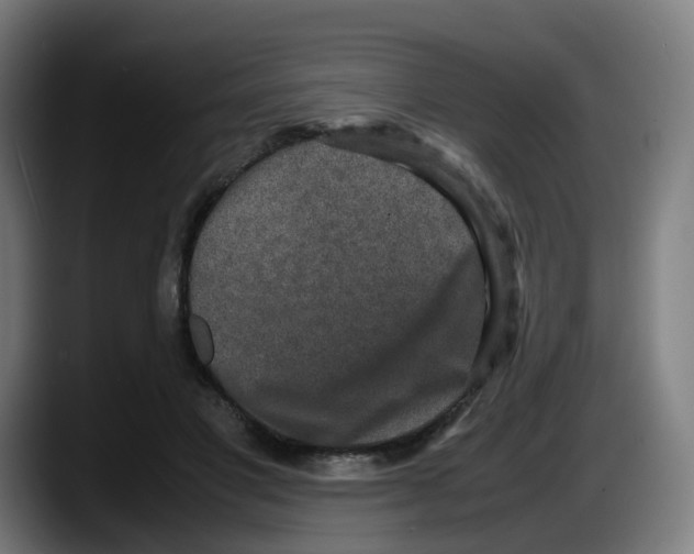 X0000087600501200705251925