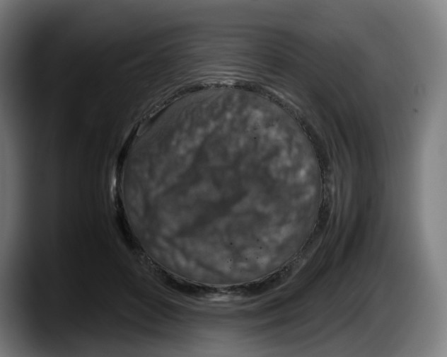 X0000087600504200705251925