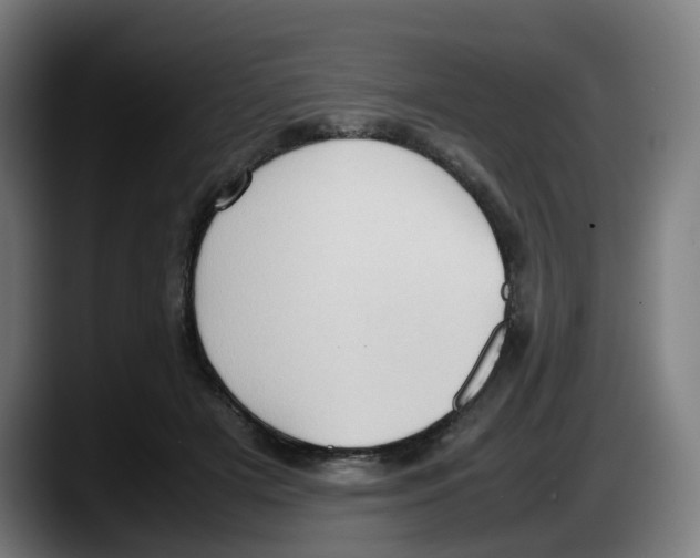 X0000087600505200705251925