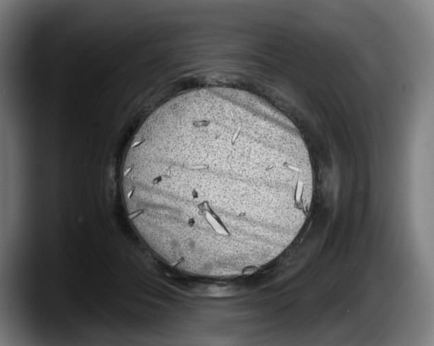 X0000087600506200705251925