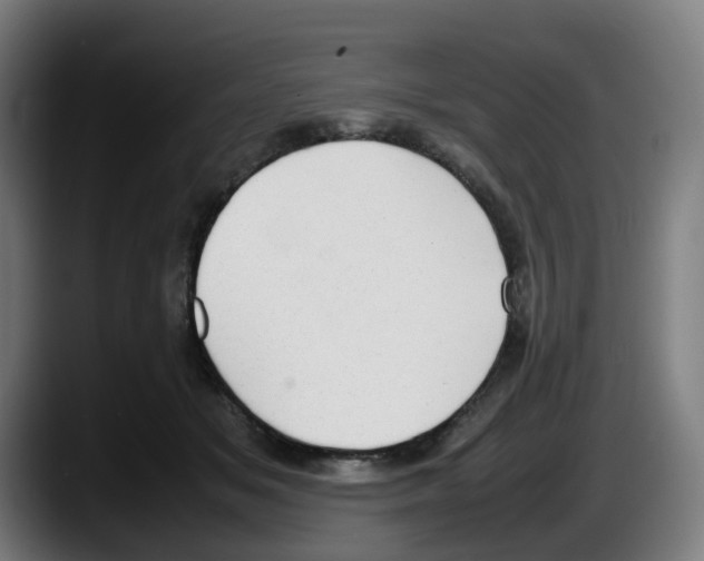 X0000087600509200705251925