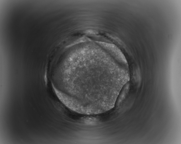 X0000087600512200705251925