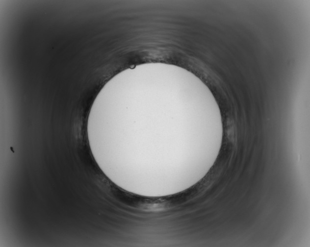 X0000087600514200705251925