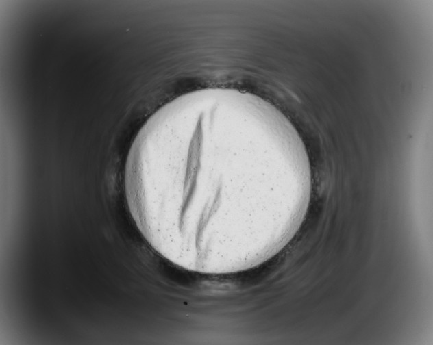 X0000087600515200705251925