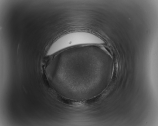 X0000087600516200705251925