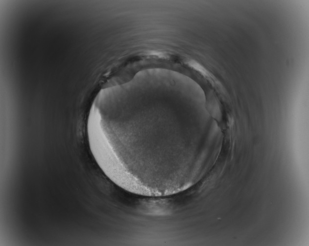 X0000087600517200705251925