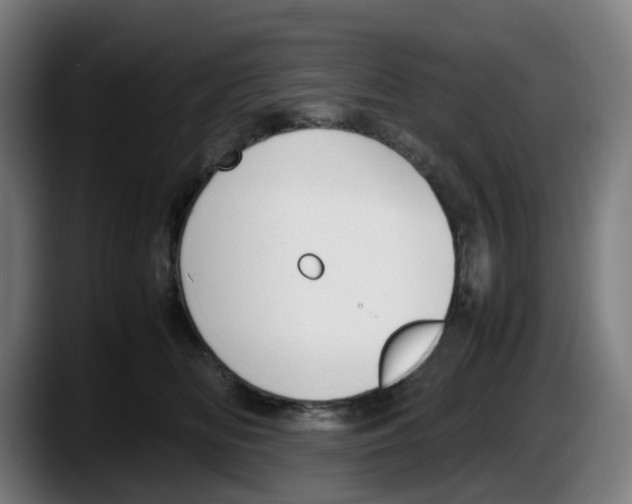 X0000087600518200705251925