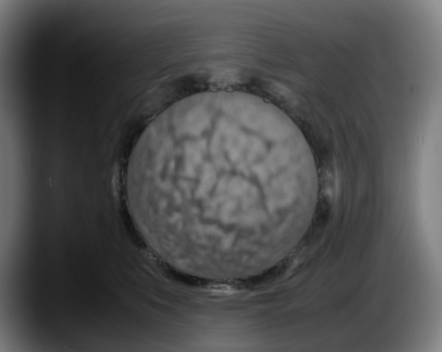 X0000087600519200705251925