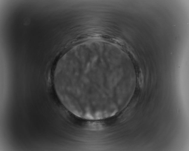 X0000087600520200705251925