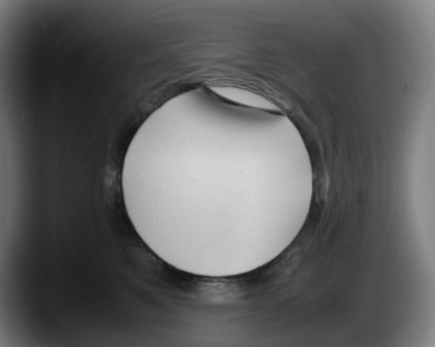 X0000087600521200705251925