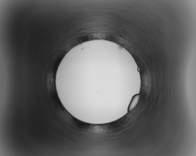 X0000087600522200705251925