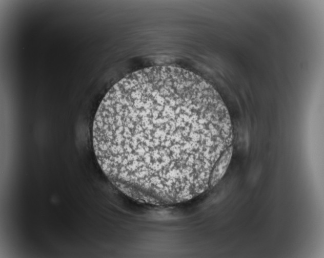 X0000087600523200705251925