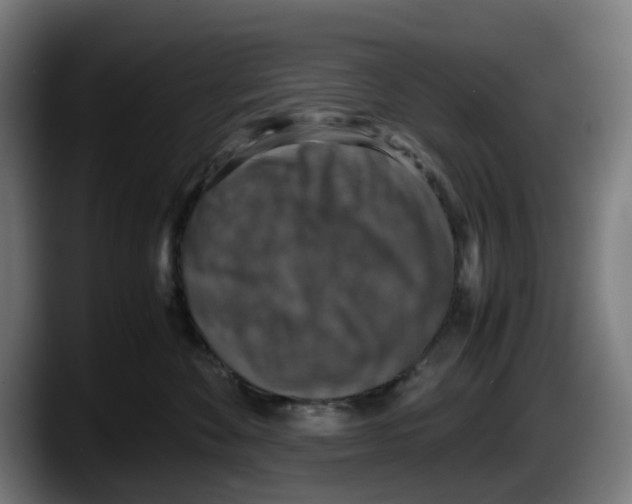 X0000087600524200705251925