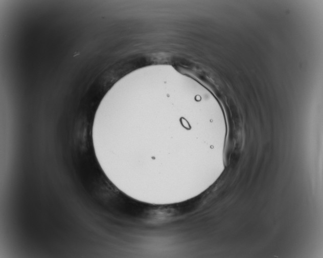 X0000087600525200705251925