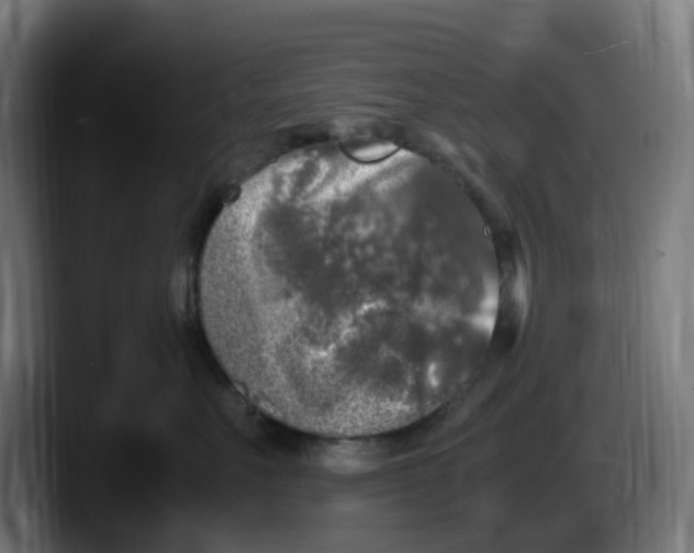 X0000087600527200705251924