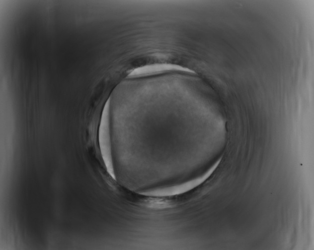 X0000087600528200705251924