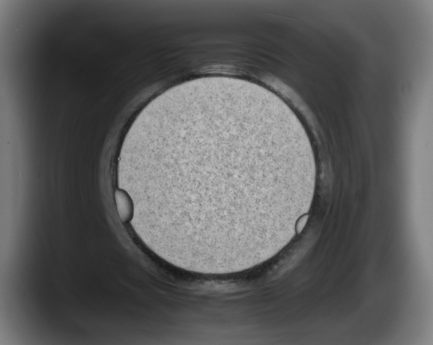 X0000087600529200705251924