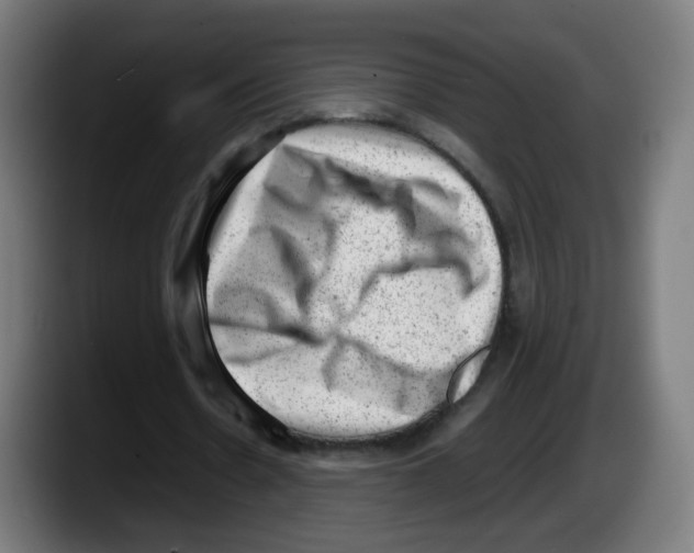 X0000087600530200705251924