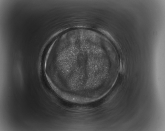 X0000087600531200705251924