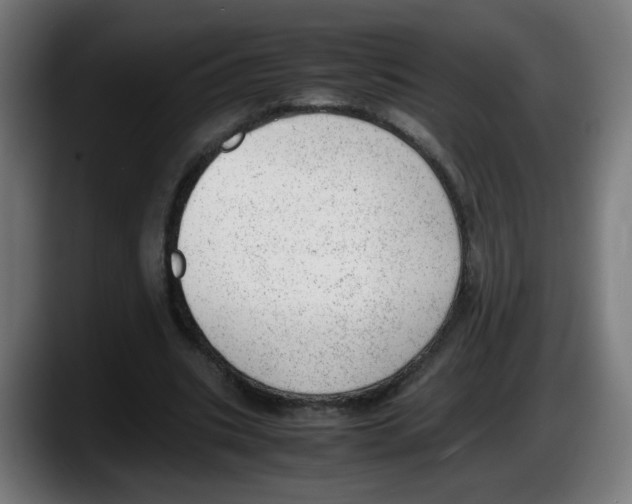 X0000087600535200705251924