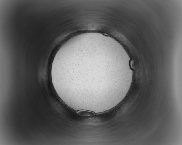 X0000087600536200705251924