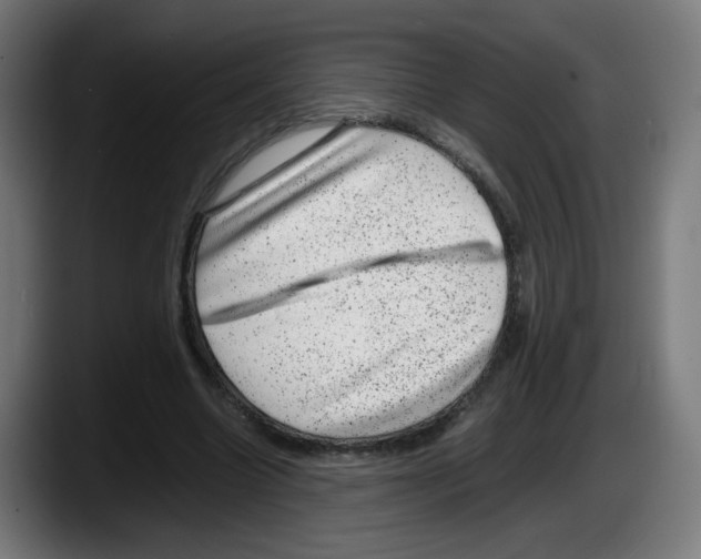 X0000087600538200705251924