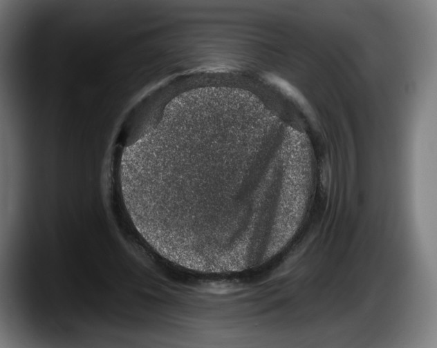 X0000087600540200705251924