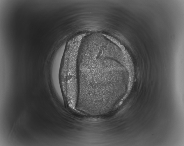 X0000087600542200705251924