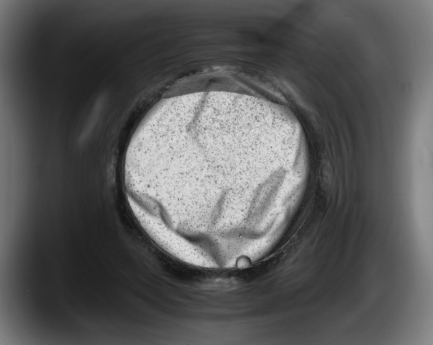 X0000087600543200705251924