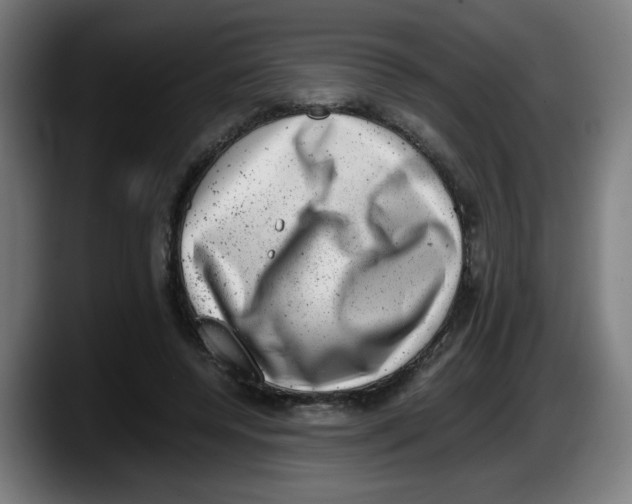 X0000087600544200705251924