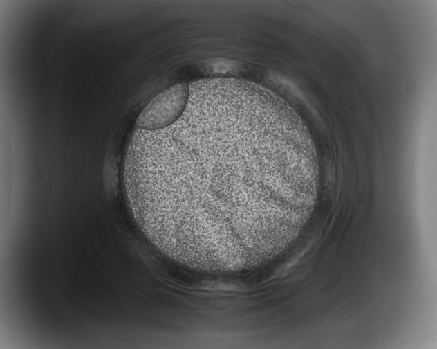 X0000087600545200705251924