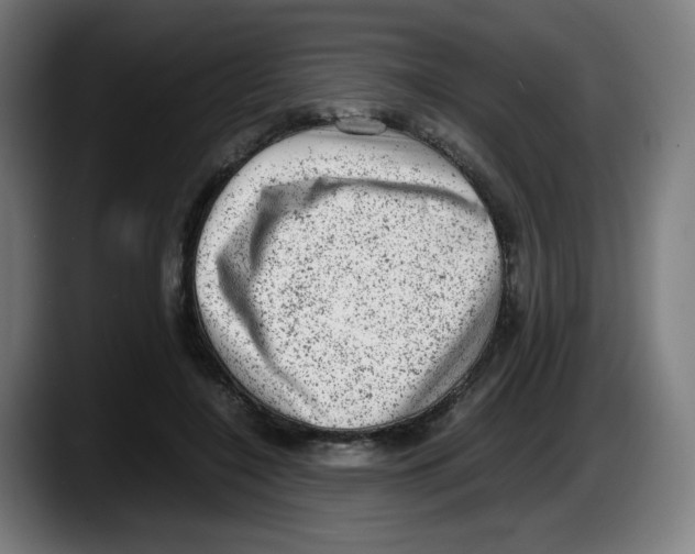 X0000087600548200705251924