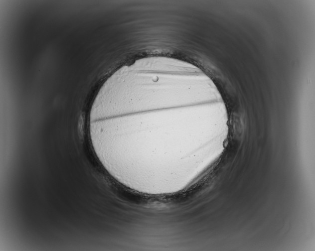 X0000087600550200705251924