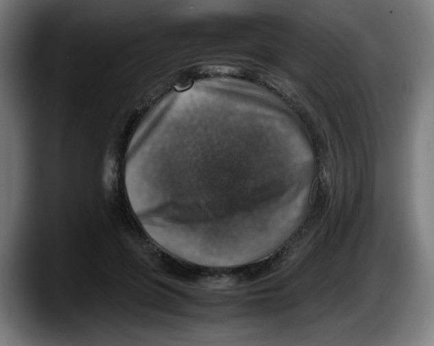 X0000087600551200705251924