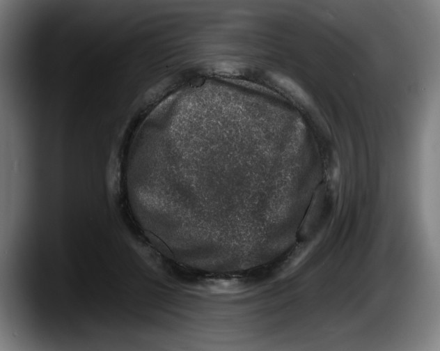 X0000087600552200705251924