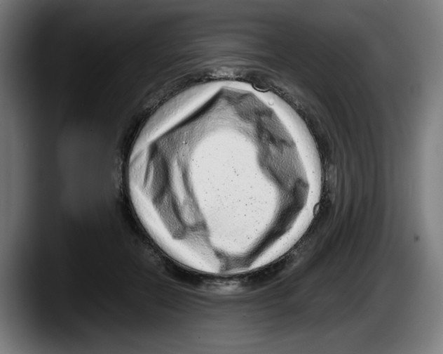 X0000087600554200705251924