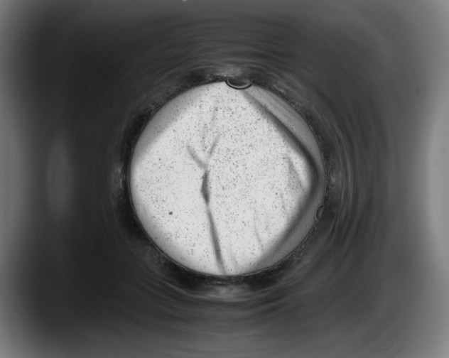 X0000087600555200705251924