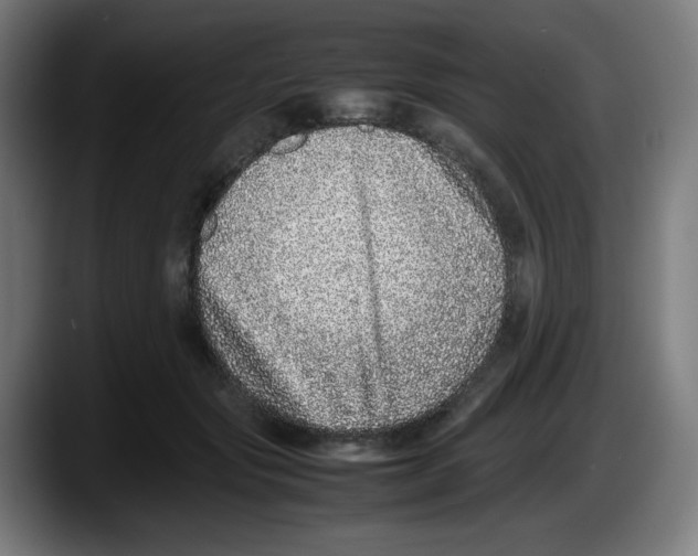 X0000087600557200705251924