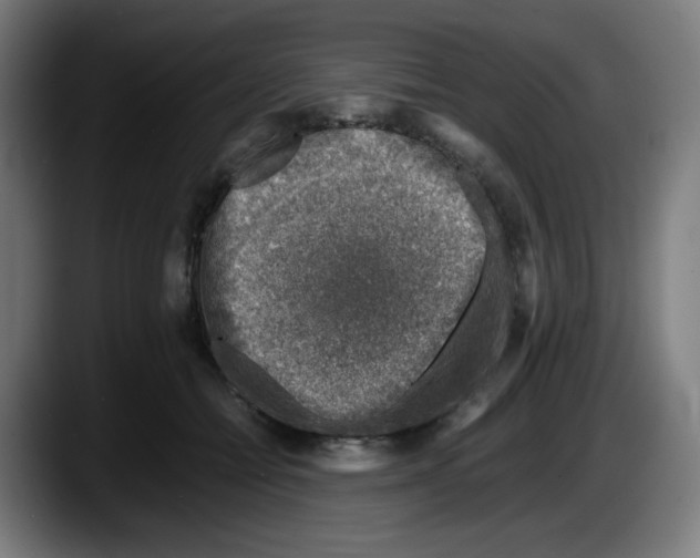 X0000087600558200705251924