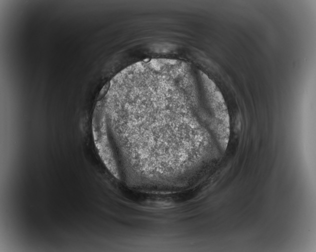 X0000087600559200705251924