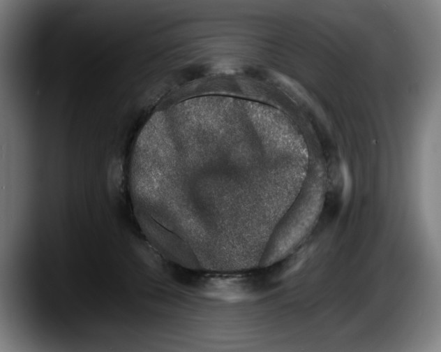 X0000087600560200705251924