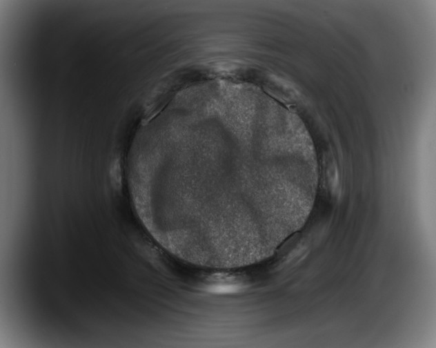 X0000087600562200705251924