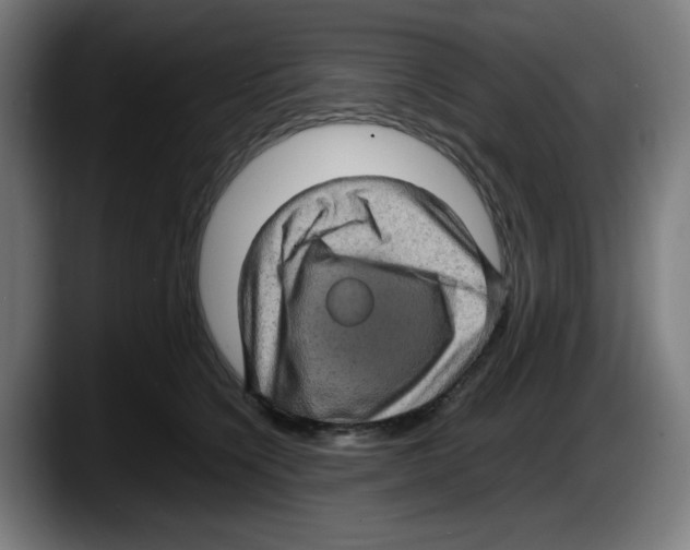 X0000087600564200705251924