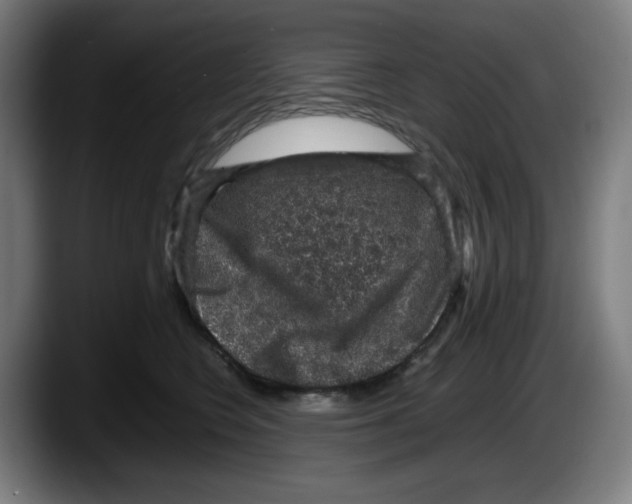 X0000087600566200705251924