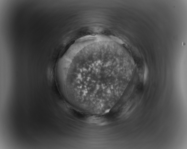 X0000087600568200705251924