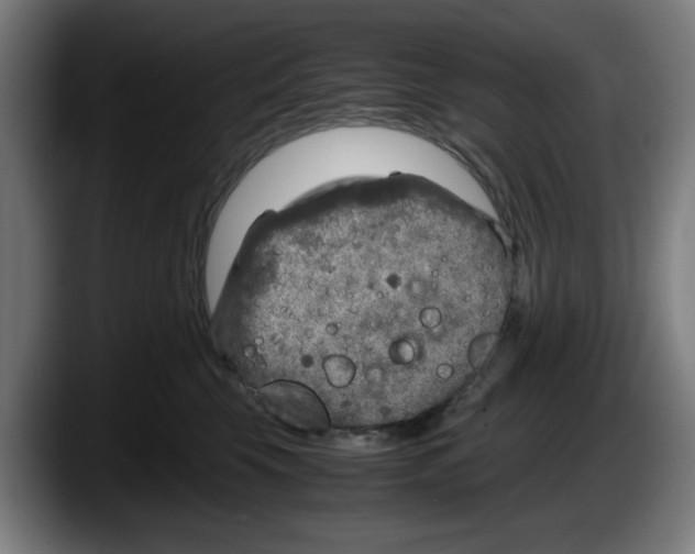 X0000087600569200705251924